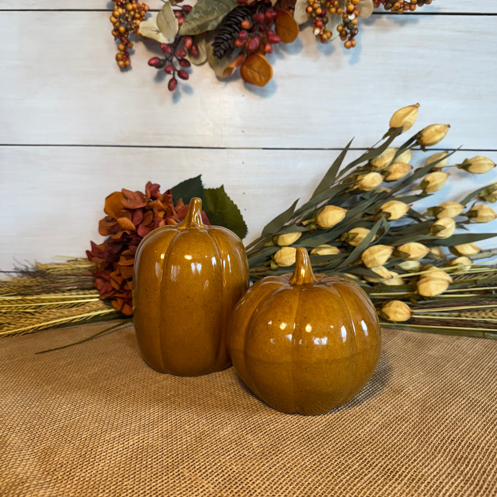 Fall Collectible Pumpkins- Set of 2 Cider