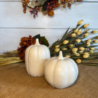 Fall Collectible Pumpkins- Set of 2 Drift White