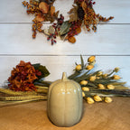 Fall Collectible Pumpkins- Set of 2 Mocha