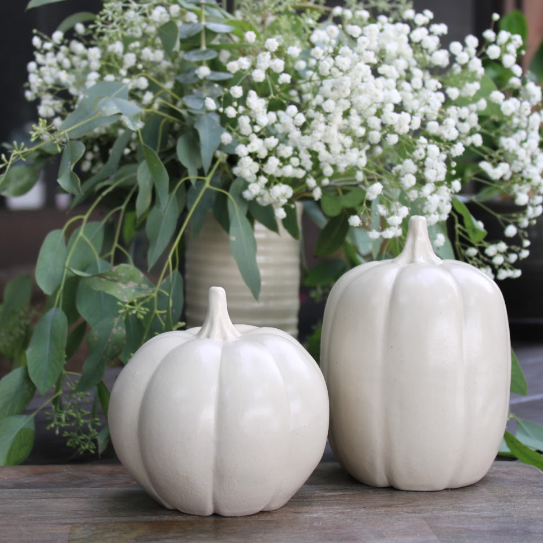 Fall Collectible Pumpkins- Set of 2 Drift White