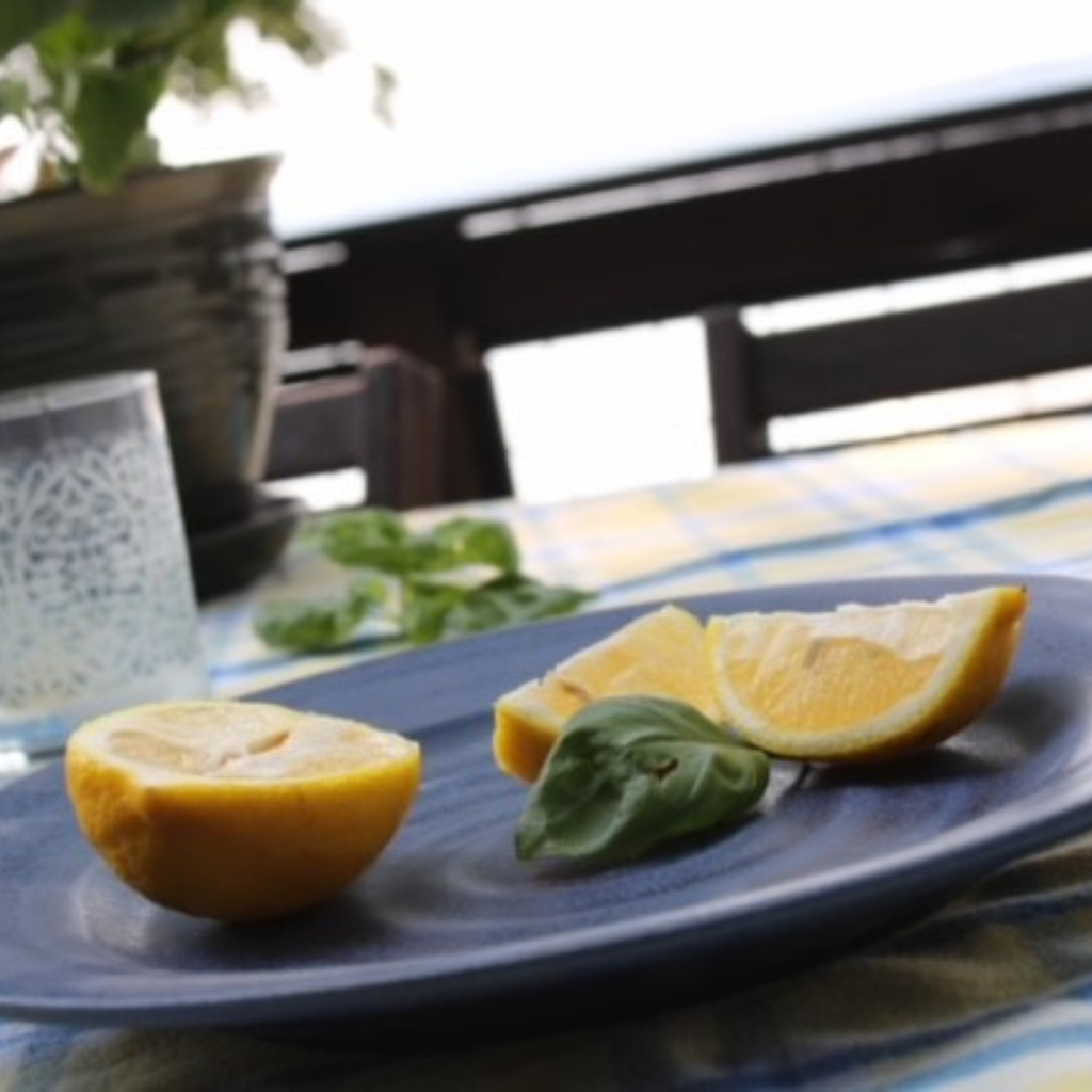 Handcrafted Stoneware Dinner Plate- Ridges Denim