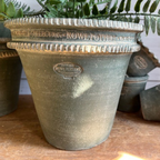 Bartram Garden Pot #6  (4 Colors)